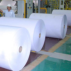 Paper mills Industry